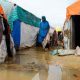Somalie: Des milliers d'élèves déplacés alors que les inondations submergent les écoles