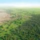 La Grande Muraille Verte d'Afrique ne manquera pas l'objectif 2030, selon le président de l'ONU chargé de la désertification