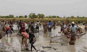 Le changement climatique met en danger la tradition de la pêche malienne, classée au patrimoine mondial de l'UNESCO