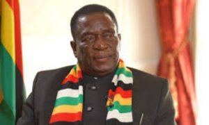 Le Zimbabwe annonce sa volonté de rejoindre le groupe des BRICS