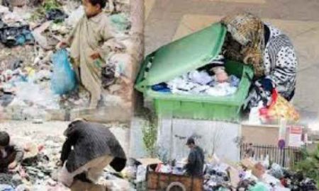 Reportage / Les déchets sont une source de nourriture et d’argent pour les Algériens