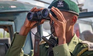 « Nous connaissons les tactiques qu’ils utilisent » : les braconniers sont devenus les gardes-chasse du Kenya