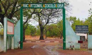 Le parc national du Niokolo-Koba au Sénégal retiré de la liste du patrimoine mondial en péril