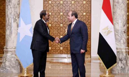 La Somalie accepte lors d'une réunion extraordinaire un accord de défense commune avec l'Égypte